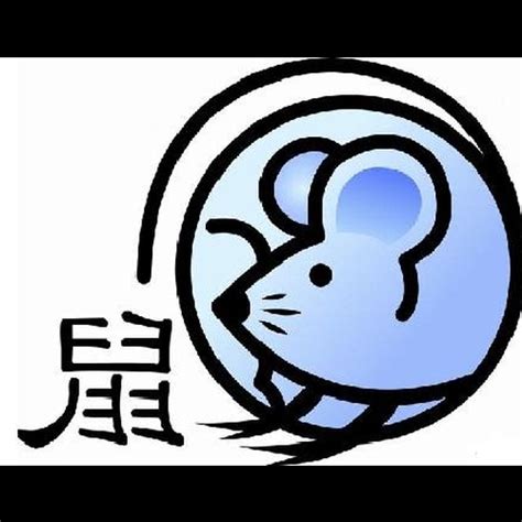 屬鼠財位|【屬鼠人財運】